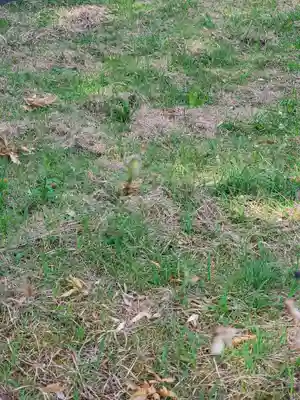 宮内助神社(長野県)