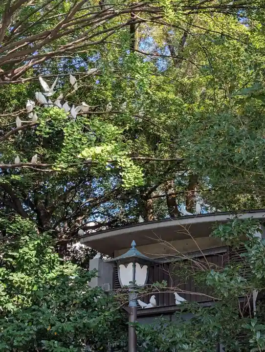 靖國神社(東京都)