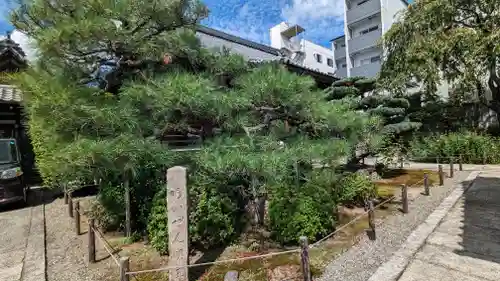 西正寺(京都府)