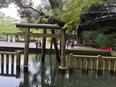 鹿島神宮(茨城県)
