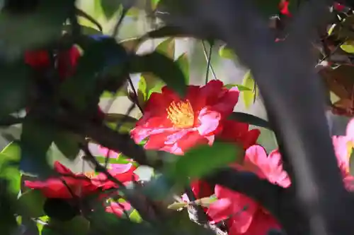 豊景神社の自然