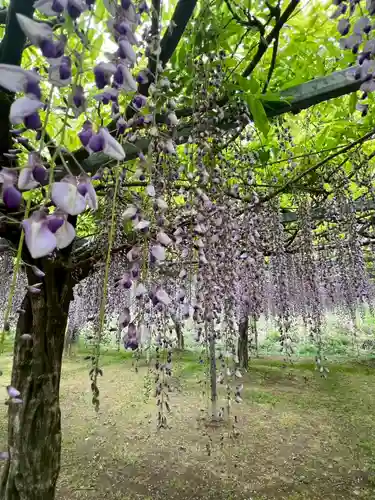 和気神社(鹿児島県)