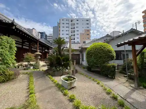 正念寺の{uncategorized: "未分類", other: "その他", undefined: "問題あり", building: "その他建物", grave: "お墓", sacred_gate: "鳥居", guardian: "狛犬", statue: "像", buddha: "仏像", history: "歴史", nature: "自然", garden: "庭園", animal: "動物", pagoda: "塔", temizu: "手水舎", mountain_gate: "山門・神門", sanctuary: "本殿・本堂", subordinate: "末社・摂社", art: "芸術", scenery: "景色", jizo: "地蔵", ema: "絵馬", goshuin: "御朱印", omikuji: "おみくじ", items: "授与品その他", amulet: "お守り", goshuincho: "御朱印帳", eats: "食事", festival: "お祭り", votive_dance: "神楽", shichigosan: "七五三参", wedding: "結婚式", experience: "体験その他", initially: "初詣", around: "周辺", anti_infection: "感染症対策"}