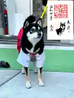 【閉業】小石川大神宮(東京都)