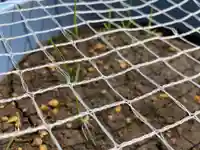 總社 和田八幡宮(福井県)