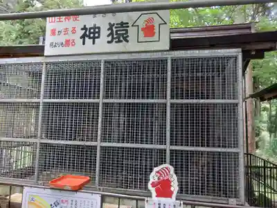 日吉大社(滋賀県)