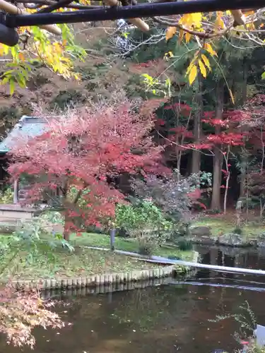 本土寺の庭園