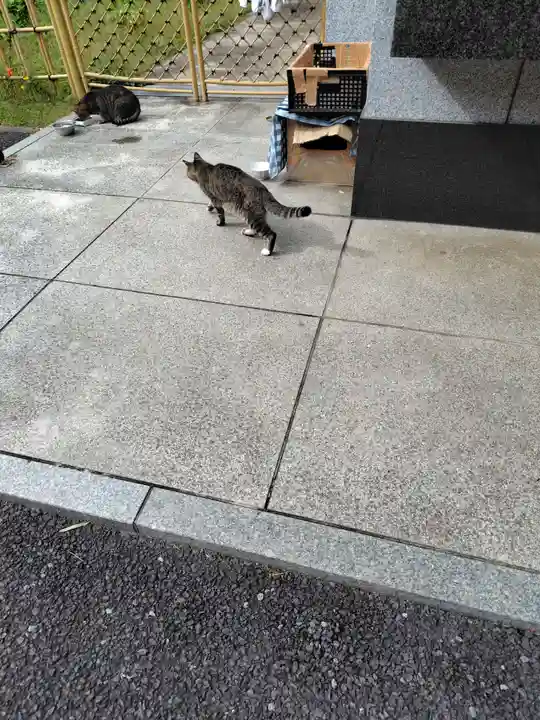 白金氷川神社(東京都)