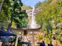 飛瀧神社(熊野那智大社別宮)(和歌山県)