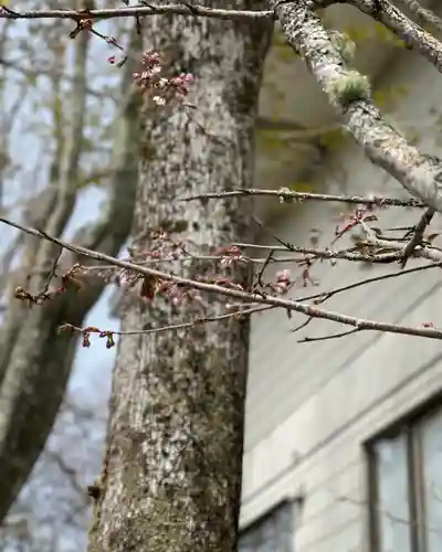 釧路一之宮 厳島神社の自然