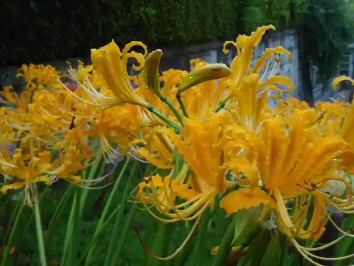阿邪訶根神社の自然