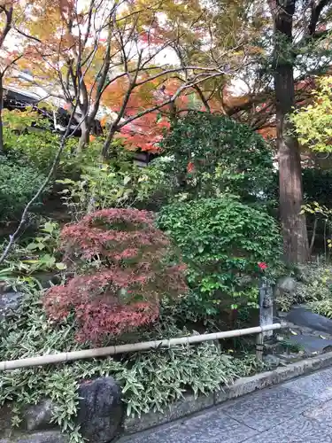 報国寺の庭園