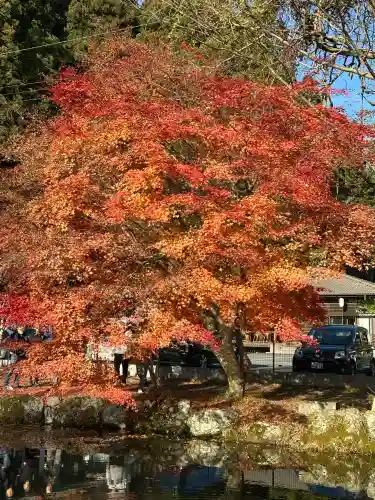 龍泉寺の{uncategorized: "未分類", other: "その他", undefined: "問題あり", building: "その他建物", grave: "お墓", sacred_gate: "鳥居", guardian: "狛犬", statue: "像", buddha: "仏像", history: "歴史", nature: "自然", garden: "庭園", animal: "動物", pagoda: "塔", temizu: "手水舎", mountain_gate: "山門・神門", sanctuary: "本殿・本堂", subordinate: "末社・摂社", art: "芸術", scenery: "景色", jizo: "地蔵", ema: "絵馬", goshuin: "御朱印", omikuji: "おみくじ", items: "授与品その他", amulet: "お守り", goshuincho: "御朱印帳", eats: "食事", festival: "お祭り", votive_dance: "神楽", shichigosan: "七五三参", wedding: "結婚式", experience: "体験その他", initially: "初詣", around: "周辺", anti_infection: "感染症対策"}
