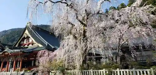 久遠寺の庭園