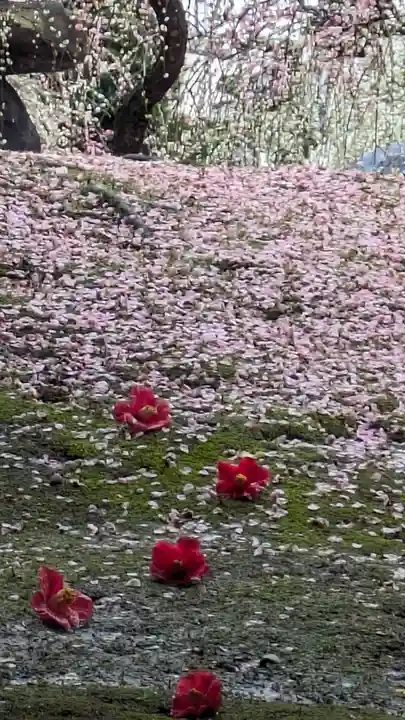 城南宮(京都府)