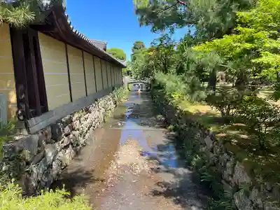 大覚寺(京都府)