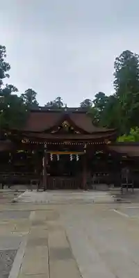 多賀大社の本殿・本堂