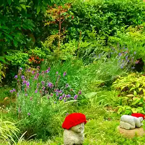 寿量山 速成寺(奈良県)(2021年06月19日(土) 06時20分06秒投稿)