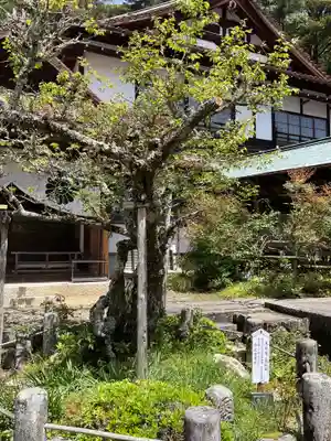 雲興寺(愛知県)