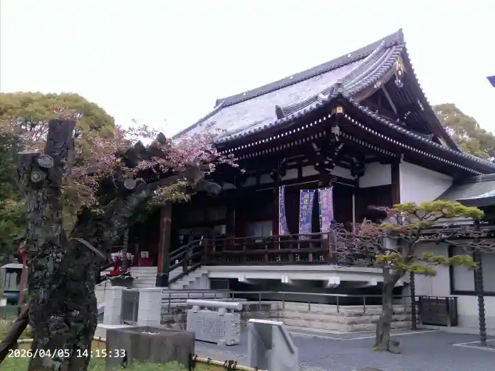 輪王寺両大師堂(寛永寺輪王殿)の{uncategorized: "未分類", other: "その他", undefined: "問題あり", building: "その他建物", grave: "お墓", sacred_gate: "鳥居", guardian: "狛犬", statue: "像", buddha: "仏像", history: "歴史", nature: "自然", garden: "庭園", animal: "動物", pagoda: "塔", temizu: "手水舎", mountain_gate: "山門・神門", sanctuary: "本殿・本堂", subordinate: "末社・摂社", art: "芸術", scenery: "景色", jizo: "地蔵", ema: "絵馬", goshuin: "御朱印", omikuji: "おみくじ", items: "授与品その他", amulet: "お守り", goshuincho: "御朱印帳", eats: "食事", festival: "お祭り", votive_dance: "神楽", shichigosan: "七五三参", wedding: "結婚式", experience: "体験その他", initially: "初詣", around: "周辺", anti_infection: "感染症対策"}