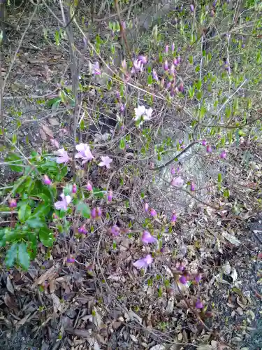 足高神社の自然
