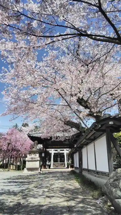 吒枳尼天(法伝寺)の鳥居