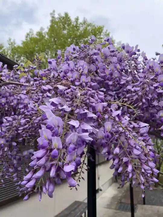 原谷弁財天(京都府)