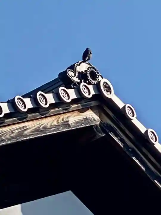 妙心寺(妙心禅寺)(京都府)