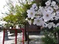 杉杜白髭神社(福井県)