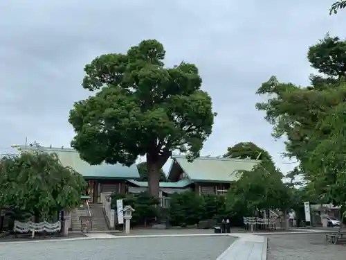 伊勢原大神宮の本殿・本堂
