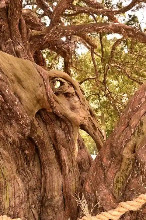寶生院(香川県)
