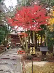 日吉大社の建物その他