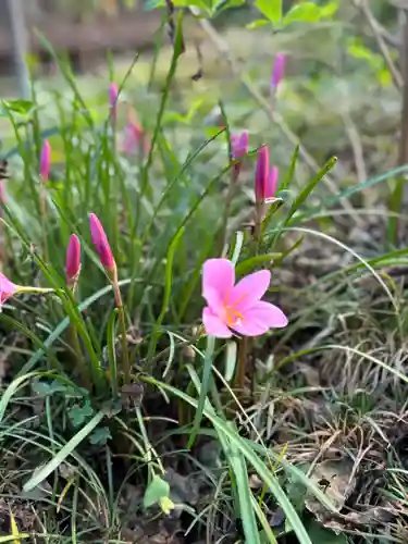 沙沙貴神社(滋賀県)