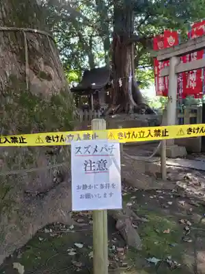 諏訪神社(東京都)