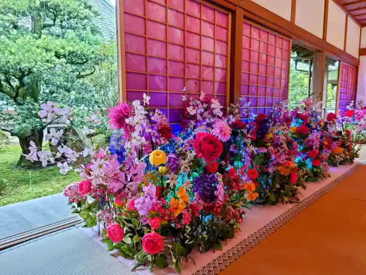 隨心院(随心院)(京都府)