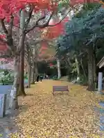 鎮國寺(福岡県)