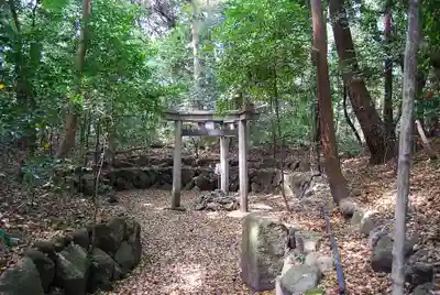木嶋坐天照御魂神社(京都府)