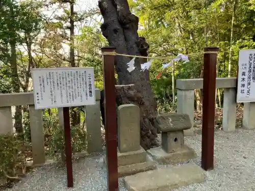 青木神社（笠間町）の{uncategorized: "未分類", other: "その他", undefined: "問題あり", building: "その他建物", grave: "お墓", sacred_gate: "鳥居", guardian: "狛犬", statue: "像", buddha: "仏像", history: "歴史", nature: "自然", garden: "庭園", animal: "動物", pagoda: "塔", temizu: "手水舎", mountain_gate: "山門・神門", sanctuary: "本殿・本堂", subordinate: "末社・摂社", art: "芸術", scenery: "景色", jizo: "地蔵", ema: "絵馬", goshuin: "御朱印", omikuji: "おみくじ", items: "授与品その他", amulet: "お守り", goshuincho: "御朱印帳", eats: "食事", festival: "お祭り", votive_dance: "神楽", shichigosan: "七五三参", wedding: "結婚式", experience: "体験その他", initially: "初詣", around: "周辺", anti_infection: "感染症対策"}