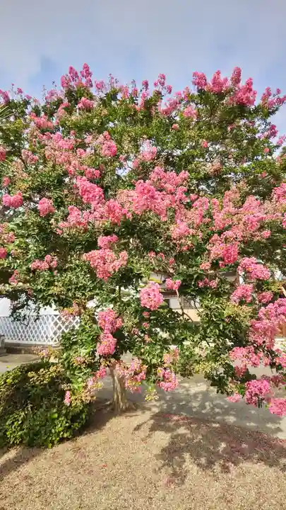 玉泉寺(福島県)