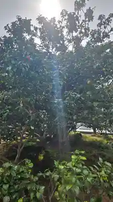 総見院(京都府)