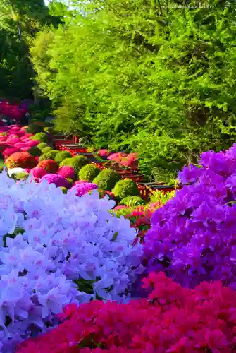 根津神社(東京都)