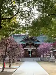 屯倉神社(大阪府)