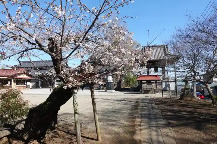慈恩寺(埼玉県)