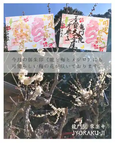 【公式】龍門院常楽寺（秩父札所十一番）(埼玉県)