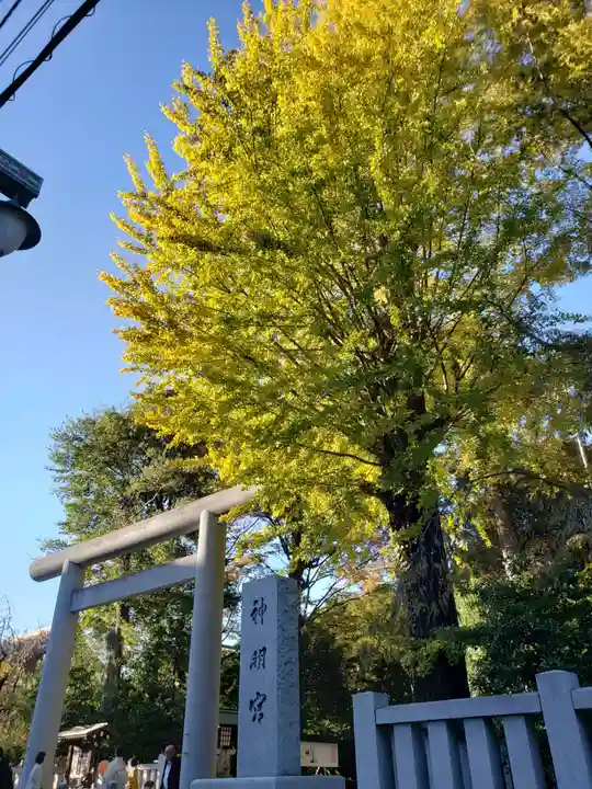 阿佐ヶ谷神明宮(東京都)