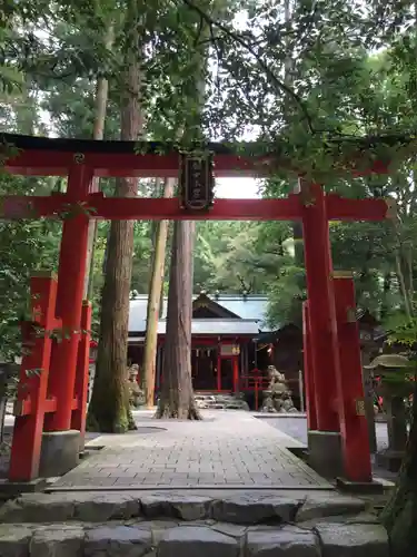 椿大神社の鳥居