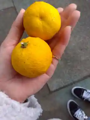 光照寺(神奈川県)