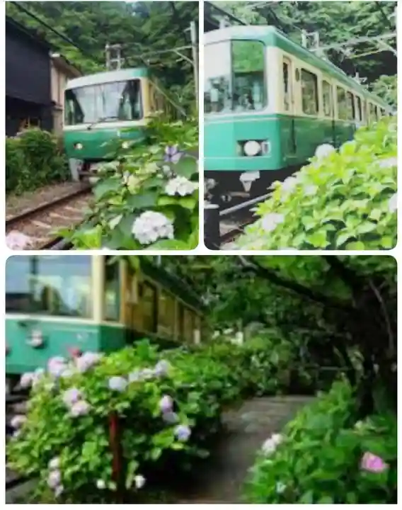 御霊神社の庭園