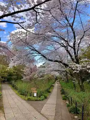 本土寺(千葉県)