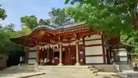 夜疑神社の本殿・本堂
